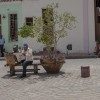 img_0948.jpg