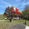 lisca_36_000.jpg