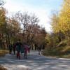lisca_05_000.jpg