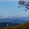 lisca_33_000.jpg