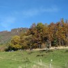 lisca_09_000.jpg