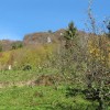 lisca_10_000.jpg