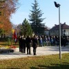 senovo__3_.jpg