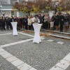 sava_04.jpg