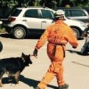 enota reševalnih psov