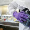 Ptičja gripa, laboratorij, raziskava.jpg