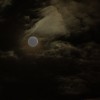 luna.jpg