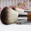 čopiči ličilo make up.jpg