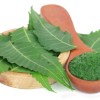 Neem.jpg