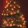 img_4549.jpg