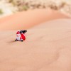 Sahara, božiček.jpg