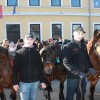 img_6788_000.jpg