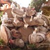 jaslice_meglic__001.jpg