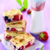 Beeren-Kokos-Schnitte_HS[1].jpg