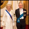 Camilla, princ Charles.jpg