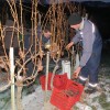 img_0885_8_1_000.jpg