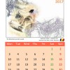 erasmus__koledar_2017_finish_page_008.jpg