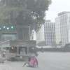 truckwomanvietnam.jpg