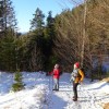 stol__01_.jpg