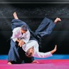 aikido.jpg