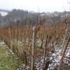 dsc01109_000.jpg