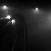 av.jpg