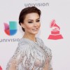 Angelique Boyer (3).jpg