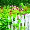juznic_obhisni_vrt_plot_shutterstock_112764790.jpg