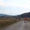 obnova_ceste_sentrupert_007.jpg