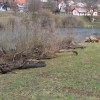 cistilna_akcija20.jpg