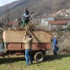 cistilna_akcija54.jpg