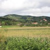 pogled_na_bizeljsko_s_ceste_bizeljsko_brezice.jpg