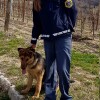 nina in ovčar.jpg