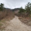 planinska gora