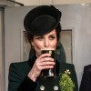 kate william pivo (6).jpg