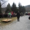 javorovica_025.jpg