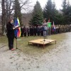 javorovica_006.jpg