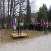 javorovica_030.jpg