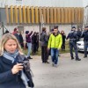 protest vič