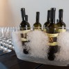 vina_poljsak_foto_oto_zan_015.jpg