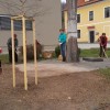 20170325_083255.jpg