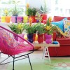bromelije.jpg