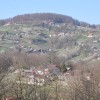 dsc_1987_000.jpg