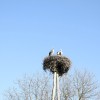 img_0001_000.jpg