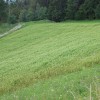 DSCN1852.JPG