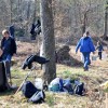 dsc_1007__large_.jpg