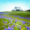 lepi_kraji_velika_planina_fotoSimen.jpg
