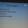 sb_novo_mesto_dan_odprtih_vrat42.jpg