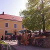 bela_001.jpg