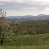 belokranjske_pisanice_krajinski_park_kolpa_damelj_2017__3_.jpg